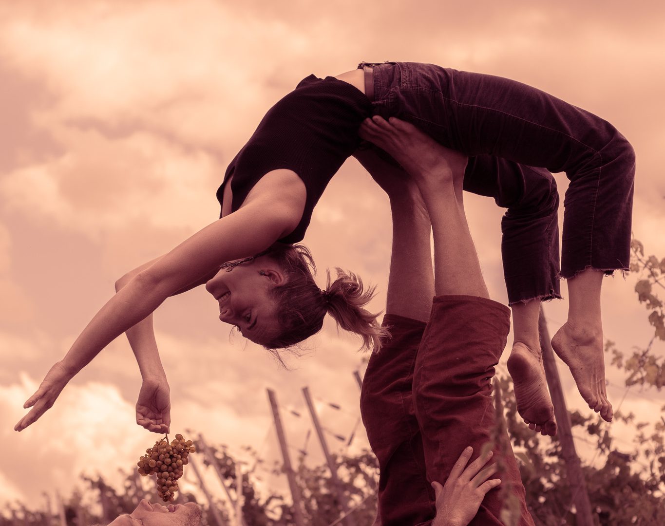 FlyingBeetroots Lehrer Acroyoga Natur Weinberge Weintrauben Trier Kurse